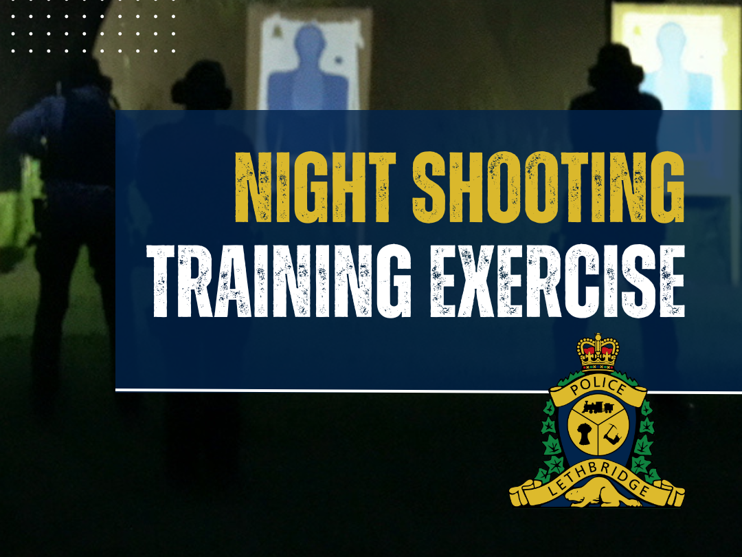 Image of Police participating in night shooting training exercise